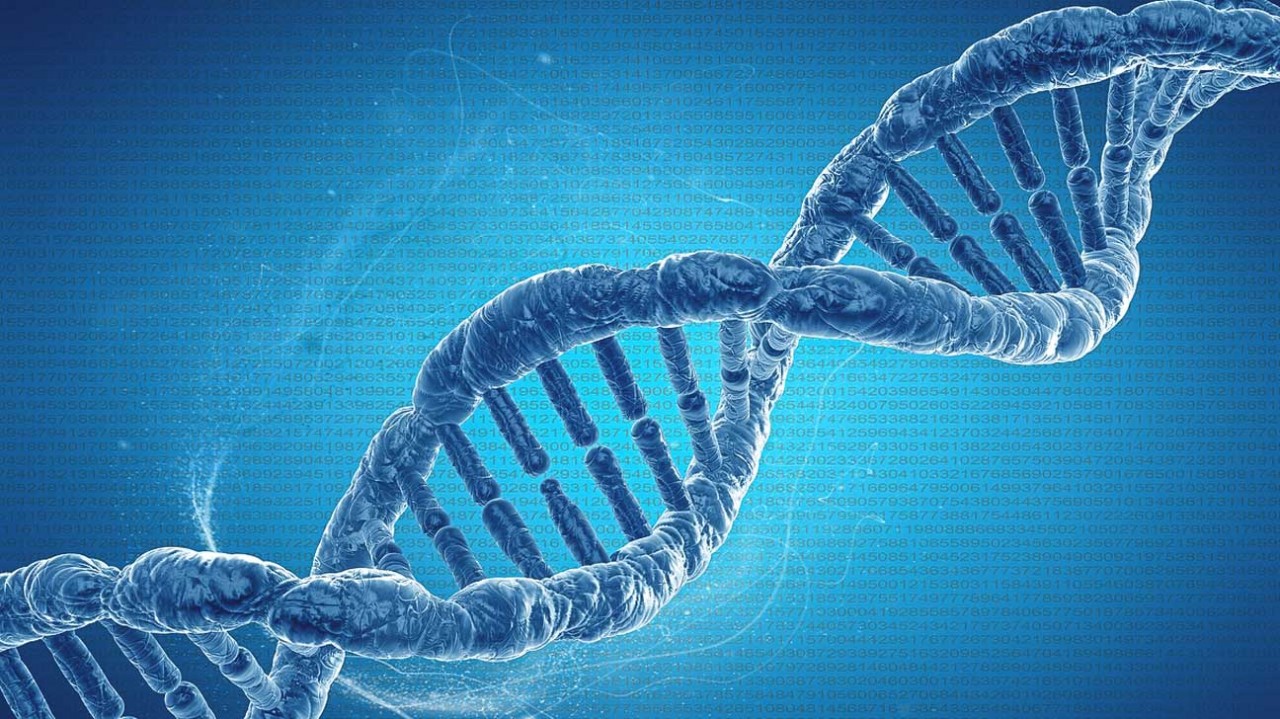 CRISPR Gen Düzenlemesinin Yeni Kullanımları Araştırılıyor