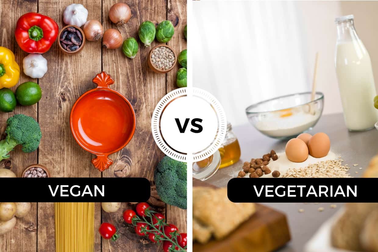Vegan vs Vejetaryen Fark Nedir?