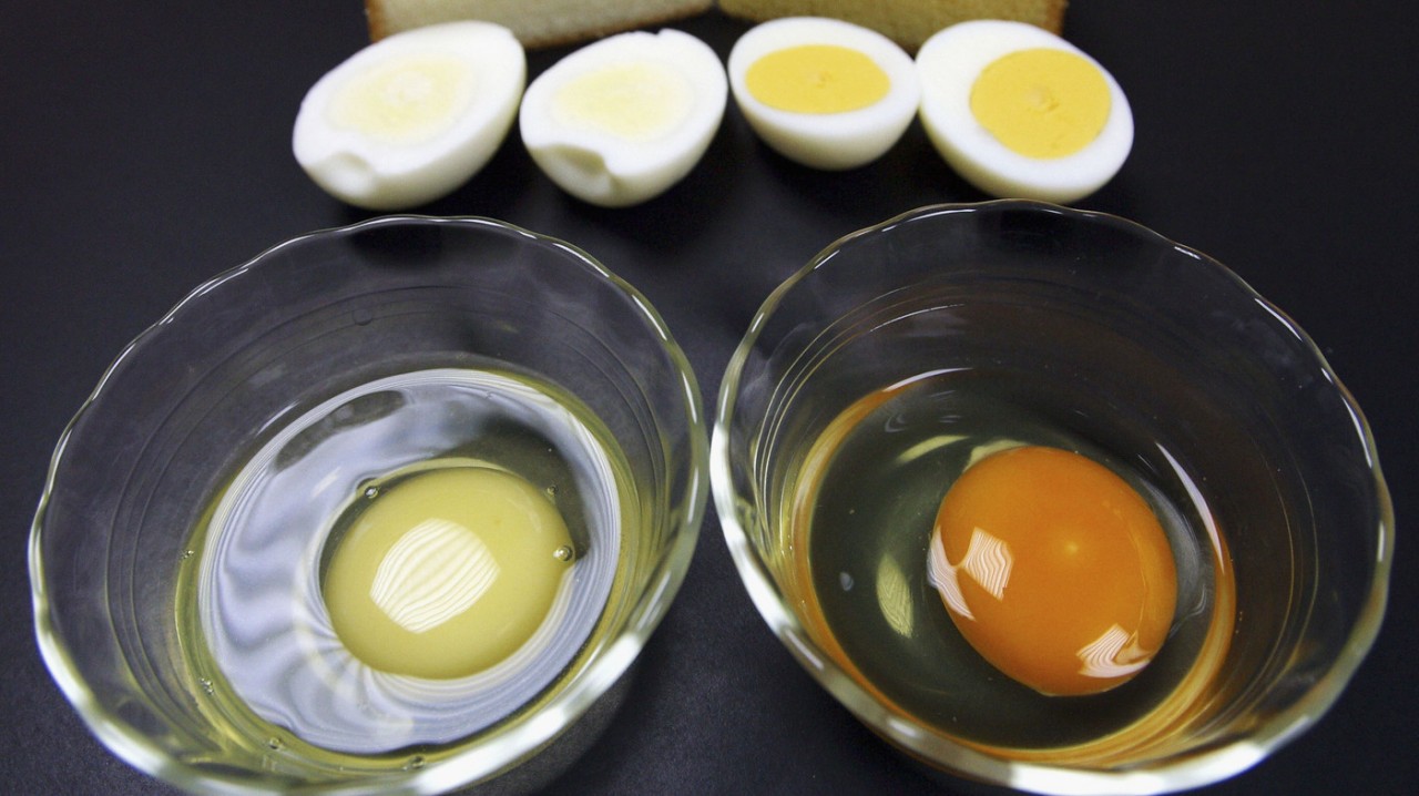 Yumurta Kalorisi ve Faydalı Mı?