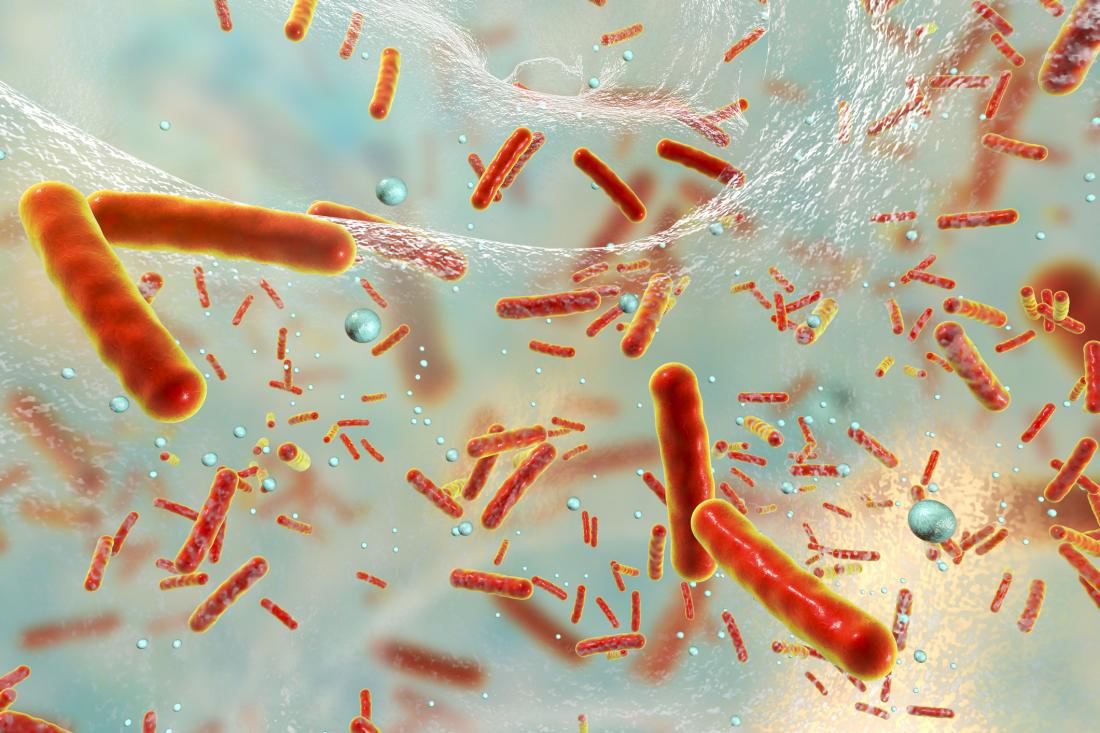 Bağırsak Bakterileri Bağırsak Kanserine Dönüşür Mü?