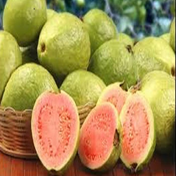Guava Nektarı Kaç Kalori
