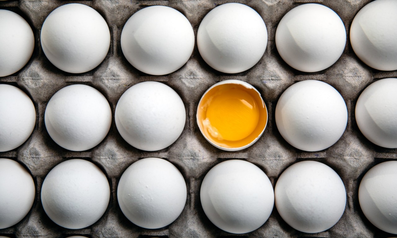 Yumurtanın İyisi Nasıl Anlaşılır? 5 Basit Yolu