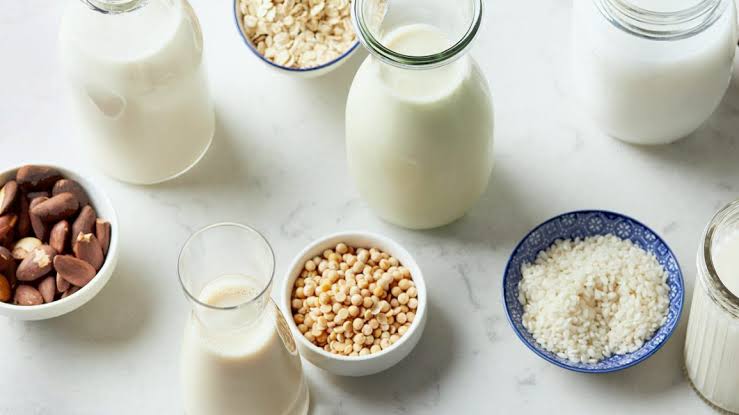 Hindistan Cevizi Sütü Yerine Kullanılan 11 Alternatif