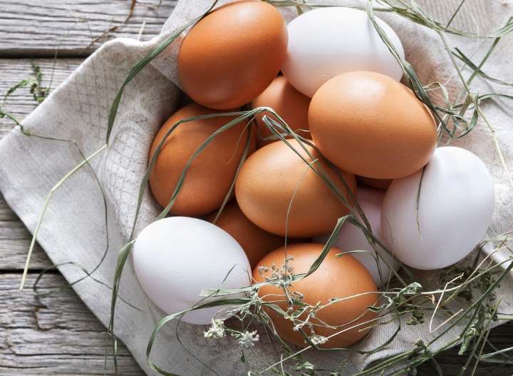 Kahverengi vs Beyaz Yumurta Hangisi Daha Besleyici?