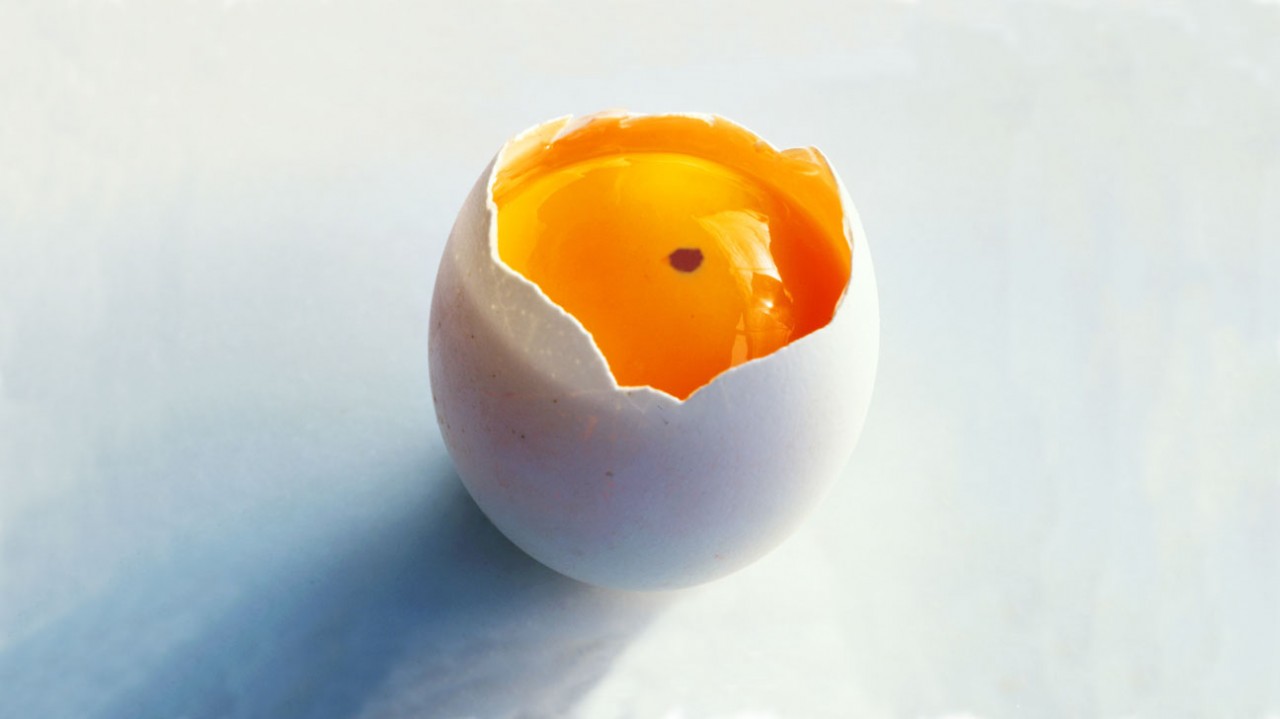 Kan Lekesi Olan Yumurta Yenir Mi?