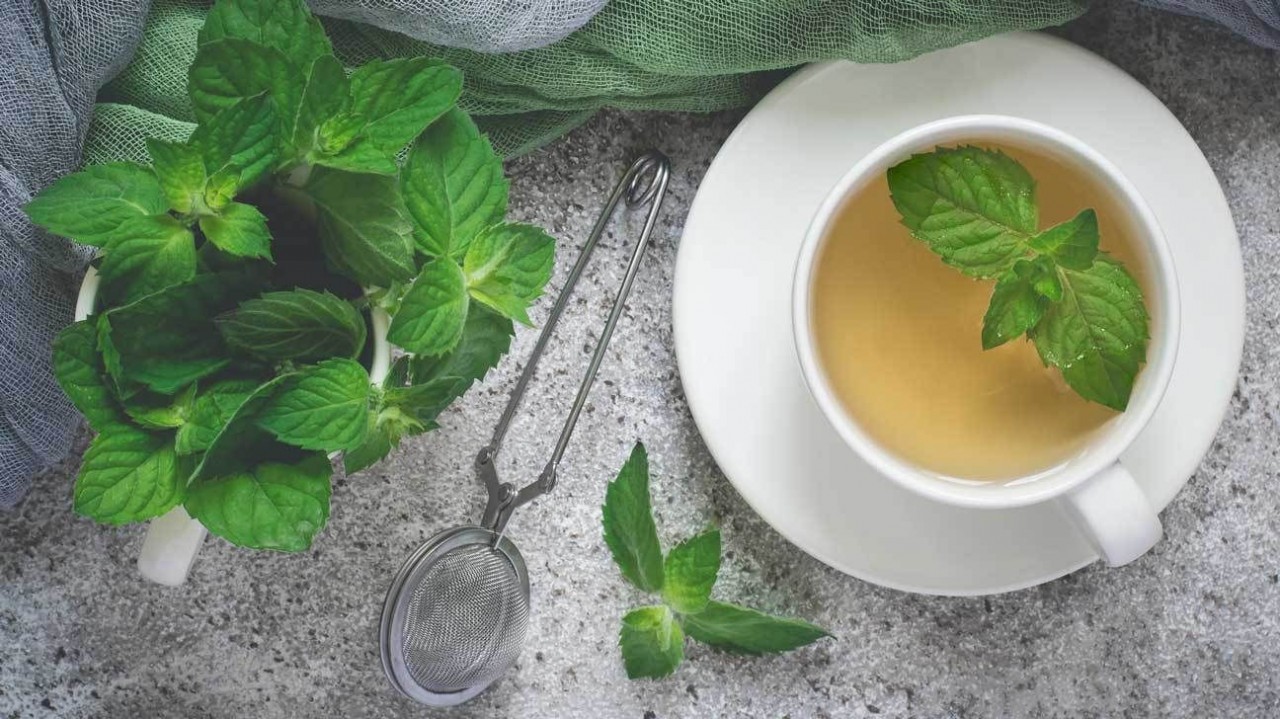 Kıvırcık Nane Çayı ve Uçucu Yağının 11 Şaşırtıcı Faydası