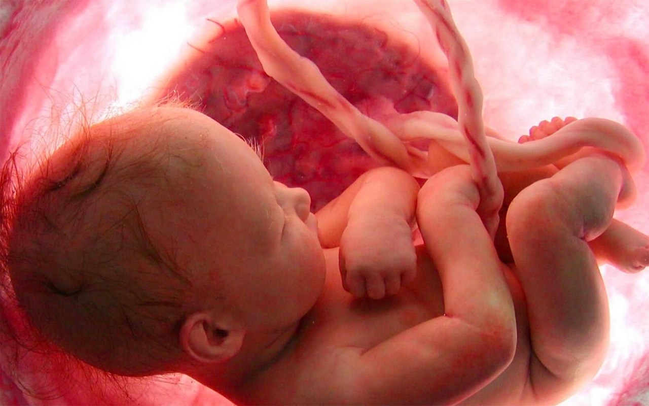 Kürtaj Nedir? Kürtaj Nasıl Yapılır? Kürtaj Fiyatları