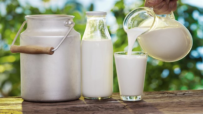 Çiğ Süt Yararları Tehlikelerden Daha Ağır mı?