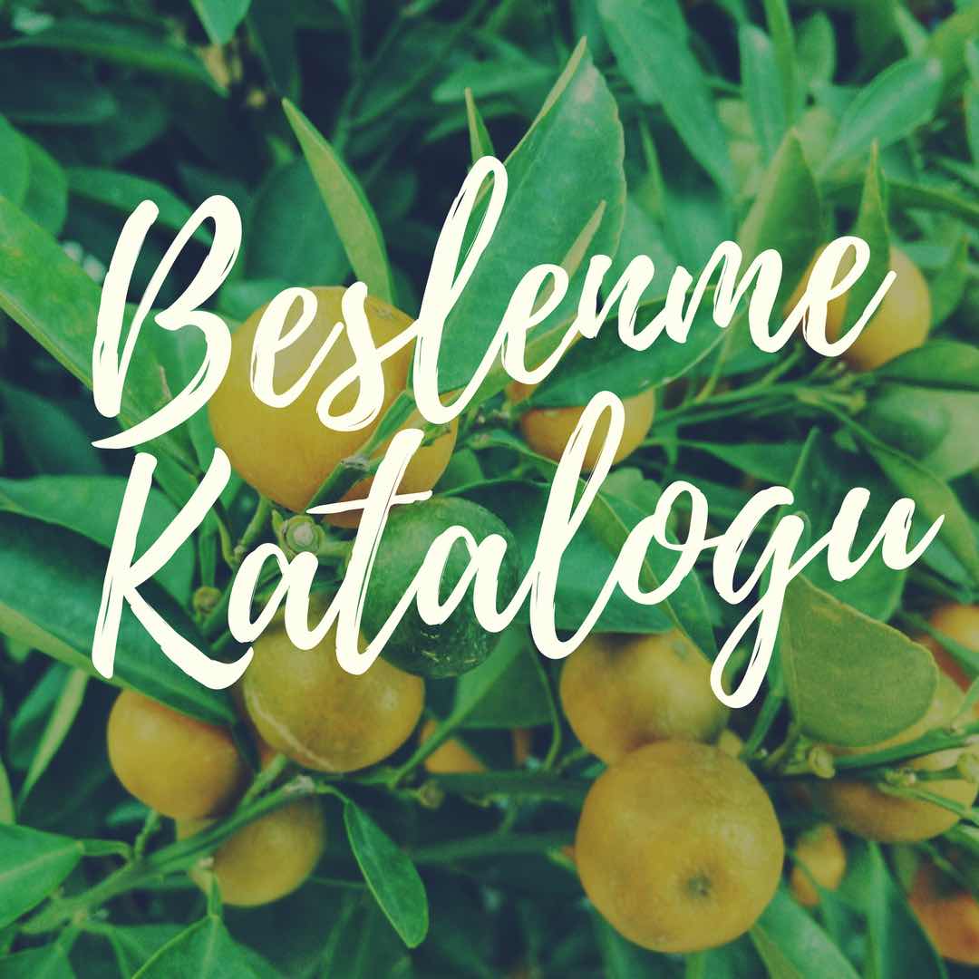 Diyetisyen Aslı Hilal Uzun