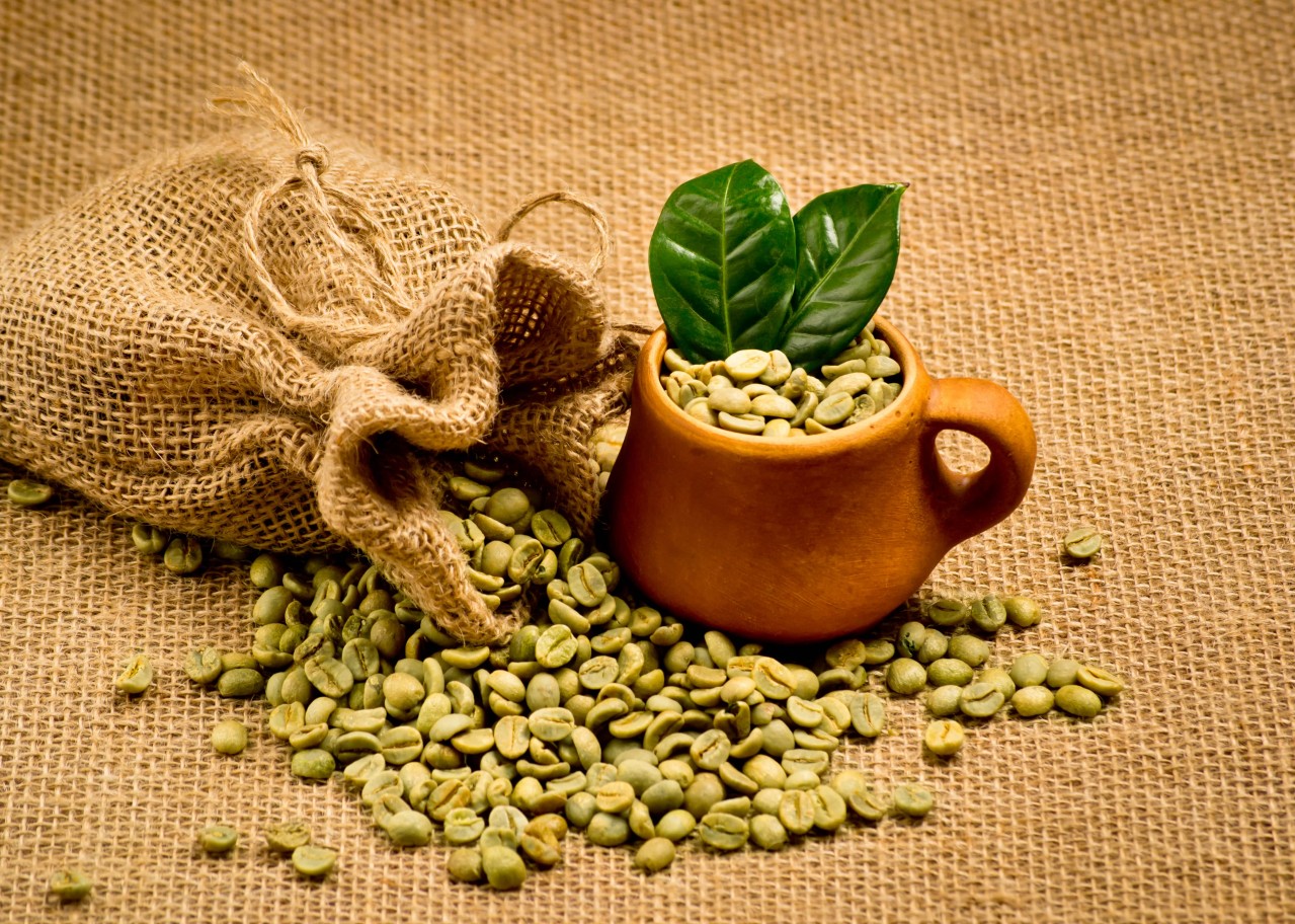 Yeşil Kahve Nedir? Yeşil Kahve Zayıflatır mı?